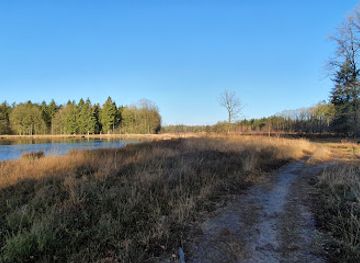 netherlands/drenthe/attraction/boswachterij-gieten-borger