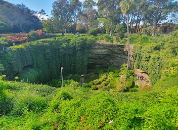 australia/limestone-coast/attraction/umpherston-sinkhole-balumbul