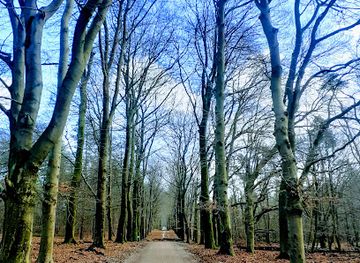 netherlands/veluwe-national-park/attraction/wildhut