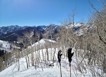 utah/snowbird-ski-resort/attraction/mill-d-north-snotel