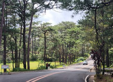 philippines/baguio/attraction/camp-john-hay-park