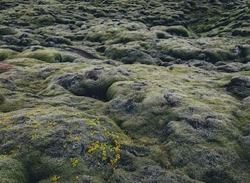 iceland/southern-region/attraction/gonguleio-um-eldhraun