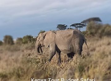 kenya/nairobi/attraction/kenya-tour-budget-safari-ltd