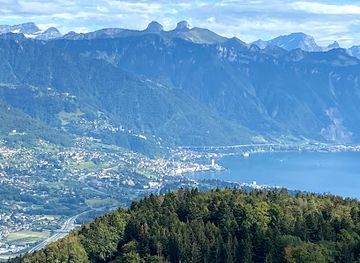 switzerland/vevey/attraction/tour-plein-ciel