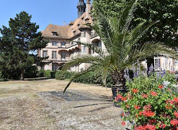 france/alsace-wine-route/attraction/cave-historique-des-hospices-de-strasbourg