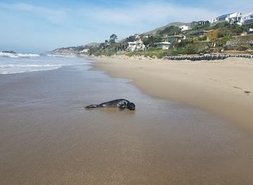 california/malibu/attraction/lechuza-beach