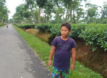 bangladesh/lawachara-national-park/attraction/tea-club