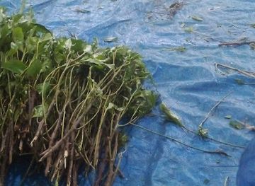 ethiopia/dire-dawa/attraction/tekle-demissie