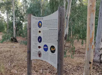 גשר עץ יפיפה