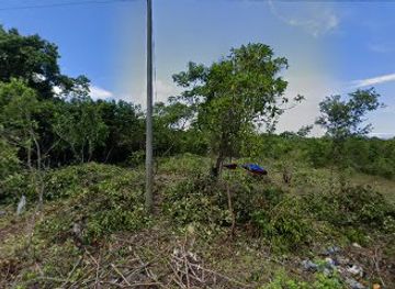 philippines/panglao-island/attraction/bohol