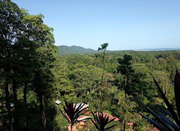 costa-rica/central-pacific/attraction/playa-negra