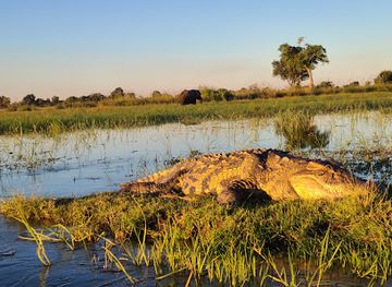 botswana/okavango-delta/attraction/kadizora-camp