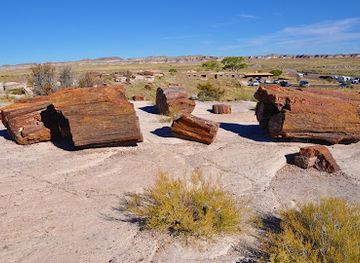 arizona/petrified-forest-national-park/attraction/giant-logs-trail