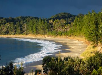 australia/tasman-peninsula/attraction/safety-cove-beach
