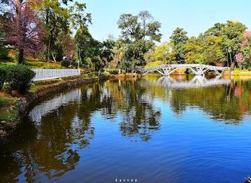 india/shillong/attraction/ward-s-lake