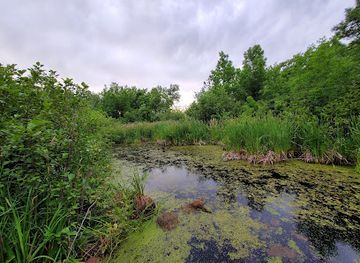 wisconsin/madeline-island/attraction/beaver-hollow
