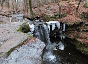 ohio/dundee-falls/attraction/dundee-falls-trailhead