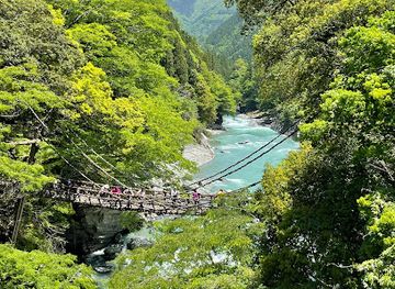 japan/awa/attraction/vine-bridge-in-the-iya-valley