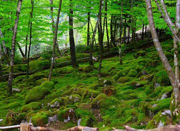france/vosges-mountains/attraction/the-garden-berchigranges