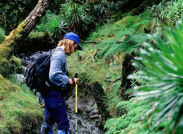uganda/buganda/attraction/roots-of-uganda-cultures