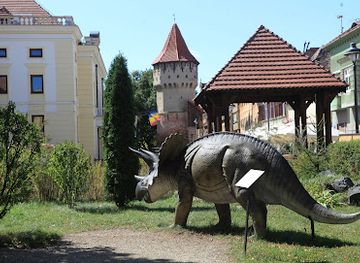 romania/sibiu-area/attraction/natural-history-museum