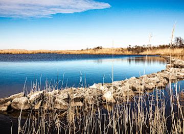 virginia/virginia-beach/attraction/back-bay-national-wildlife-refuge