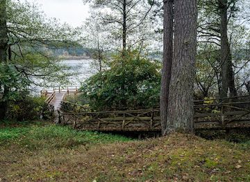 lithuania/dzukija-national-park/attraction/latezerio-stovyklaviete