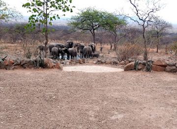 tanzania/iringa/attraction/michael-safari-organising-bush-safari