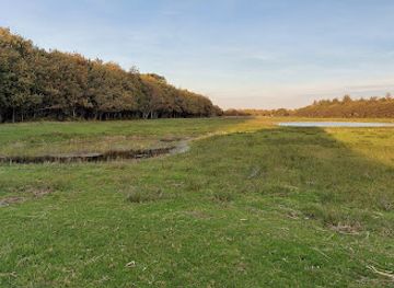 netherlands/texel-island/attraction/toeristische-attractie-koeien