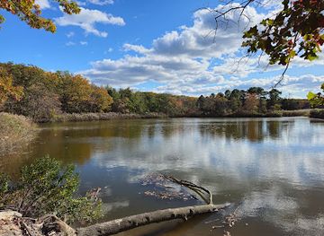 new-jersey/raritan-valley/attraction/interpretive-center-at-cheesequake-state-park