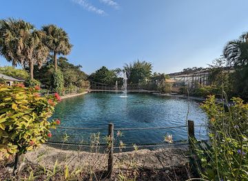 florida/nature-coast/attraction/butterfly-world