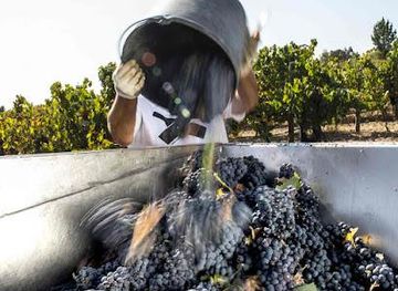 portugal/lisbon/attraction/fernao-po-adega