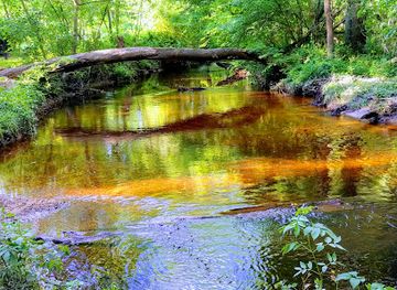 maryland/blackwater-national-wildlife-refuge/attraction/linchester-mill