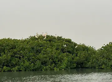 Île aux oiseaux