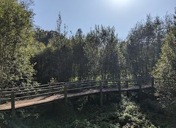 latvia/cesis/attraction/zvanu-rocks