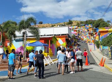 puerto-rico/south-region/attraction/la-escalinata-de-yauco