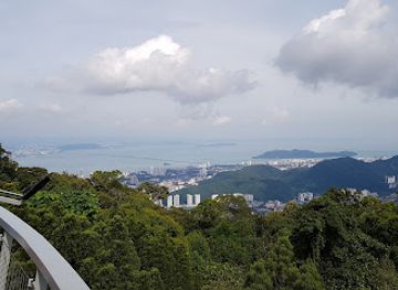 malaysia/penang-island/attraction/langur-way-canopy-walk