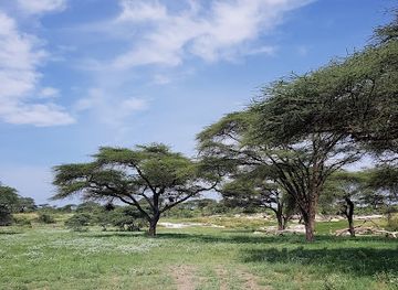 kenya/shaba-national-reserve/attraction/funan-special-campsite-no-3