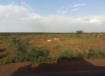 ethiopia/amhara-region/attraction/mile-serdo-wildlife-reserve