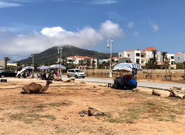 morocco/tangier-region/attraction/terrasse-des-dromadaires
