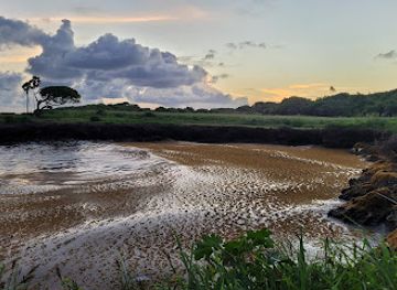 trinidad-and-tobago/buccoo-reef/attraction/cove-reef