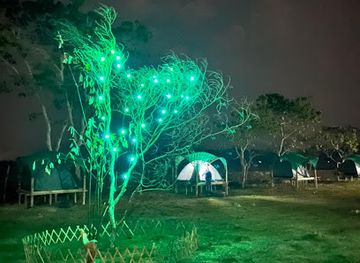 india/kaziranga-national-park/attraction/fesengbor-eco-camp