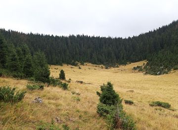 romania/bihor-mountains/attraction/humpleu-cave