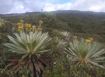colombia/bogota/attraction/matarredonda-ecological-park