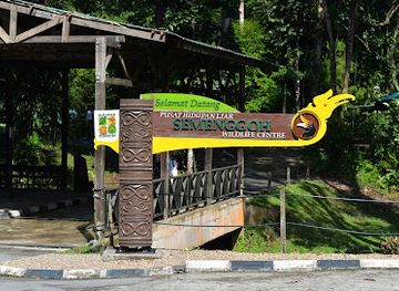 malaysia/borneo/attraction/semenggoh-wildlife-centre