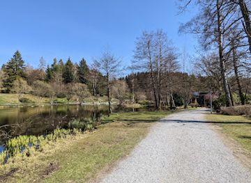 germany/harz-mountains/attraction/kamelfichte
