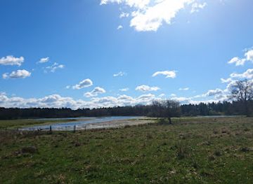 sweden/linkoping/attraction/frokarrskullens-graveyard
