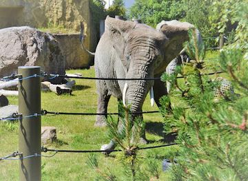 estonia/laane-county/attraction/tallinn-zoo