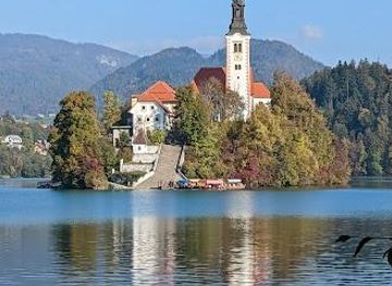 slovenia/bohinj/attraction/bled-island