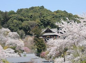 japan/osaka/attraction/hasedera-temple
